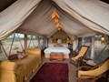 Tente dans un authentique style safari