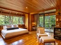 Cloud Forest