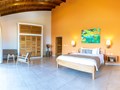 MotMot Suite