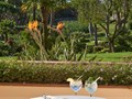 Garden Suite