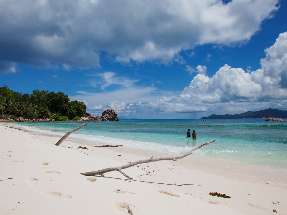 Top 10 des meilleurs spots de snorkeling aux Seychelles
