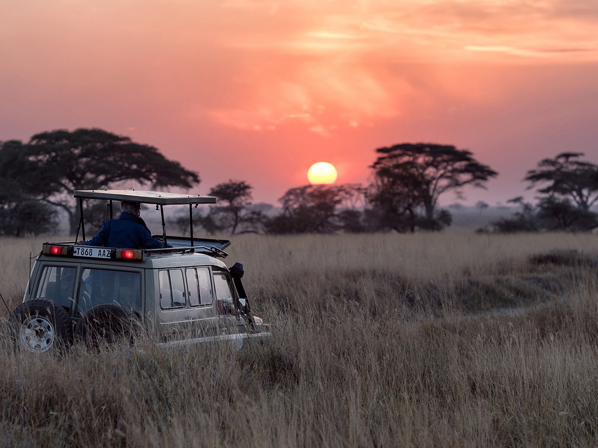 safari tanzanie septembre