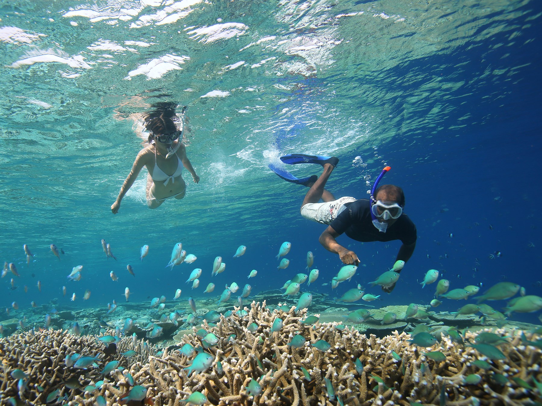 Atoll de Baa aux Maldives les hôtels sélectionnés par OOVATU