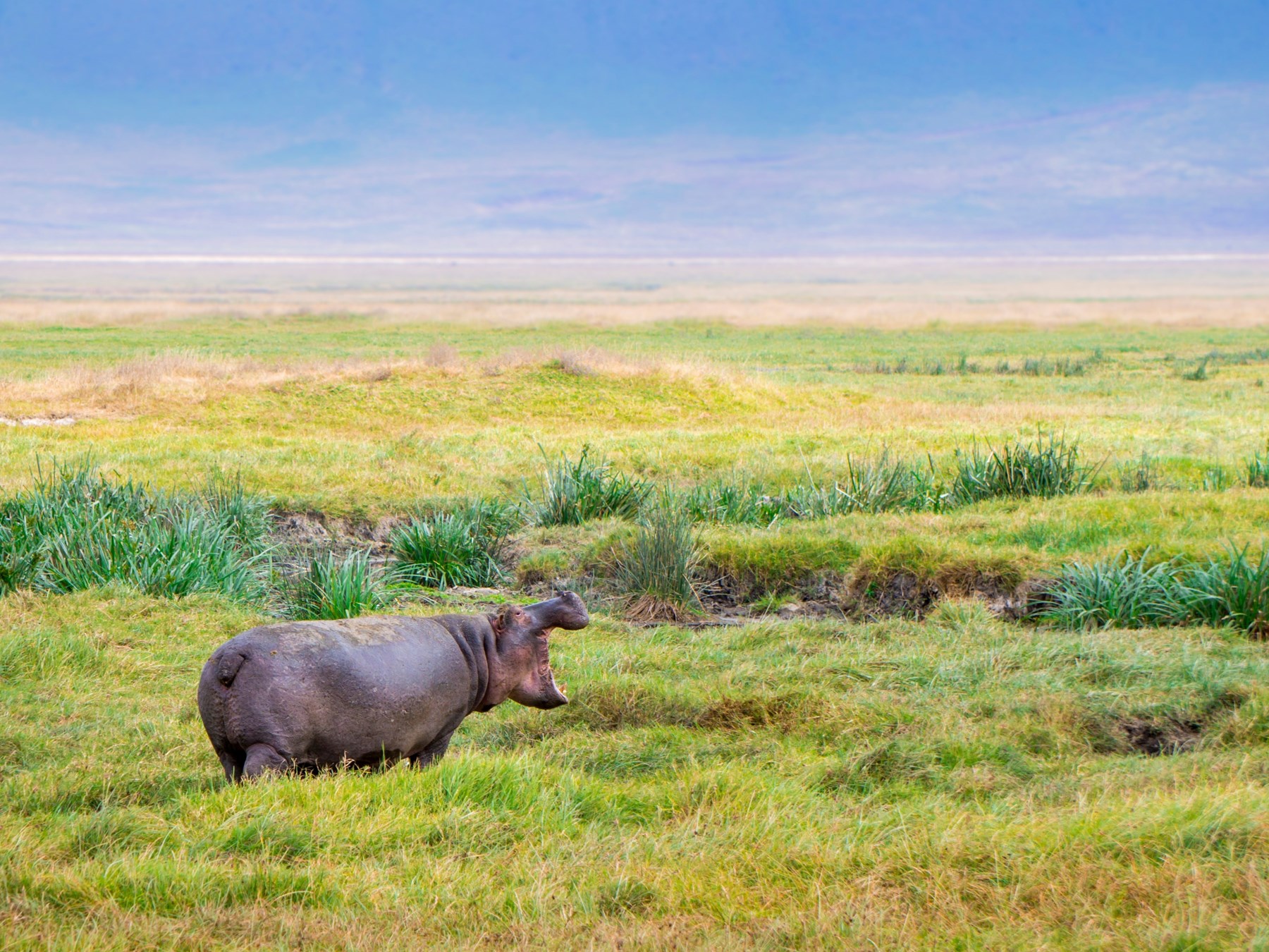 Cratère du Ngorongoro en Tanzanie les lodges sélectionnés par OOVATU