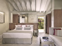 Junior Suite Laguna View 