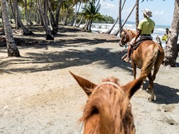 Balade à dos de cheval sur la plage de l'Amanera