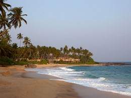 La plage de sable doré de l'Amanwella au Sri Lanka