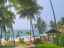 Le Beach Club de l'Amanwella au Sri Lanka