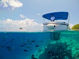 Explorez les fonds marins