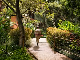 Le jardin verdoyant de l'Anantara Golden Triangle