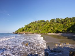 L'environnement tropical de l'hôtel 