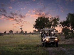 Des safaris passionnants lors de votre séjour