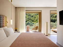 Rooftop Deluxe Double Room Mountain View