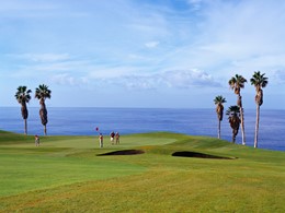 Le Bahia del Duque met à votre disposition un magnifique parcours de golf