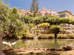 Le jardin verdoyant de l'hôtel Bahia Del Duque 