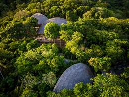 Profitez d'un repas perché dans les arbres au restaurant Tree Top