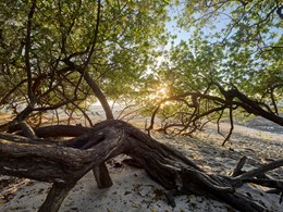Accédez à une plage sauvage
