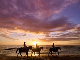 Balade à cheval au coucher du soleil 