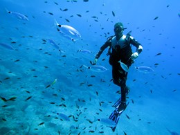 Explorez les fonds marins