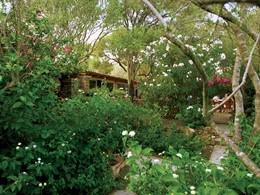 Le jardin verdoyant de l'hôtel Capo d'Orso en Sardaigne