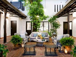 Casa del Árbol, un écrin de nature au charme colonial