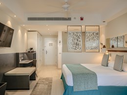 Superior Junior Suite Swim Up