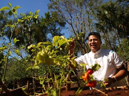 Le potager du Chable est cultivé selon la tradition maya