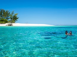 Snorkeling à l'hôtel Denis Private Island aux Seychelles