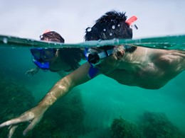 Explorez les fonds marins de Sir Bani Yas Island