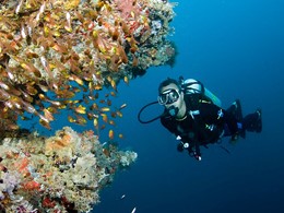 Explorez les fonds marins de l'atoll d'Ari