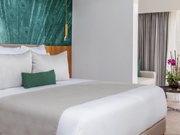 Junior Suite Swim up