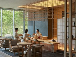 L’art du thé japonais 