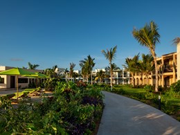 Environnement tropical des jardins