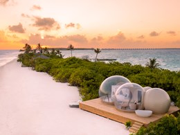 Une ambiance tropicale chic et pleine de liberté