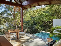 Canopy Plunge Pool Suite