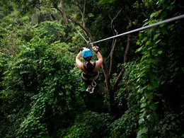 Activités au coeur de la forêt tropicale 