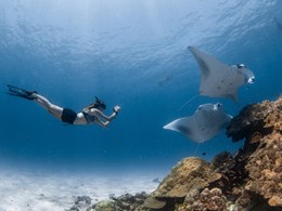 Un monde sous-marin d’une richesse exceptionnelle 