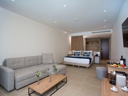 Junior Suite Private Pool Garden View