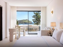 Deluxe Bungalow Temple & Sea View 