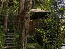 Immersion au cœur des montagnes d’Ishikawa