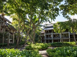 Le jardin verdoyant