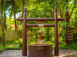 Le jardin verdoyant