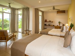 Jungle Suite