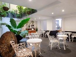 Le café Azotea Calle 7