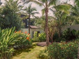 L'univers verdoyant du spa de l'hôtel