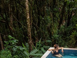 Détente totale au cœur de la forêt tropicale