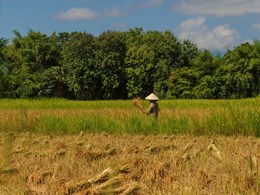 Découvrez toute l'authenticité de l'île de Don Daeng