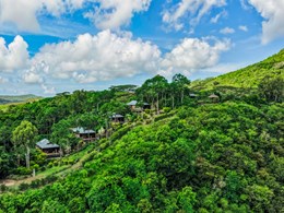 Des villas nichées dans un écrin de verdure