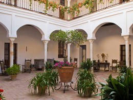 Jardins intérieurs parfumés de fleur d’oranger