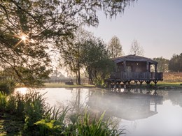 Signature Suite - île aux Oiseaux